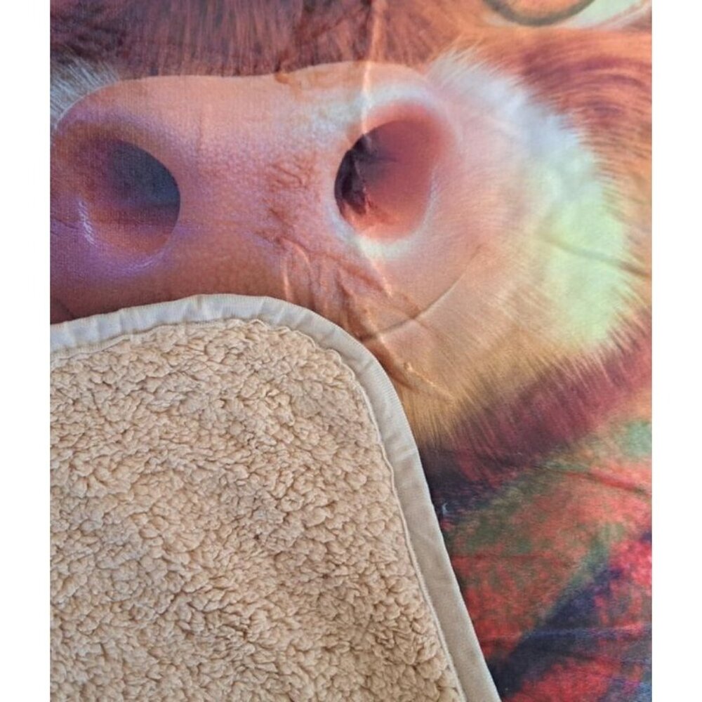 Highland Cow Calf Cattle Sherpa Plush Throw Gift Blanket Art New Daisy Sunshine - Picture 5 of 7